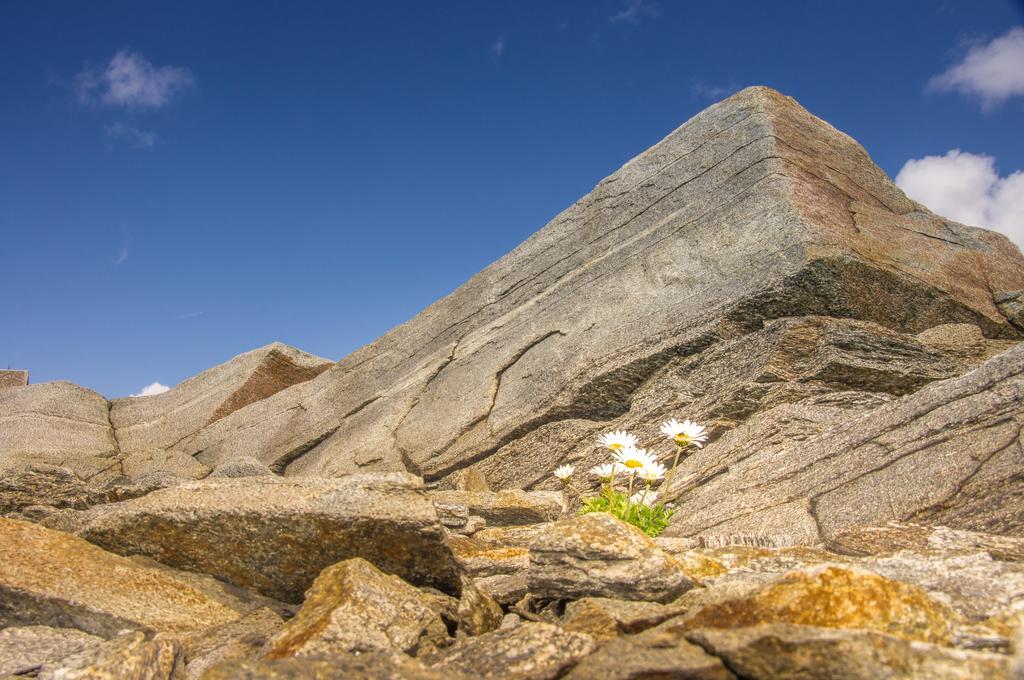 Apart Auszeit Sölden Exteriér fotografie